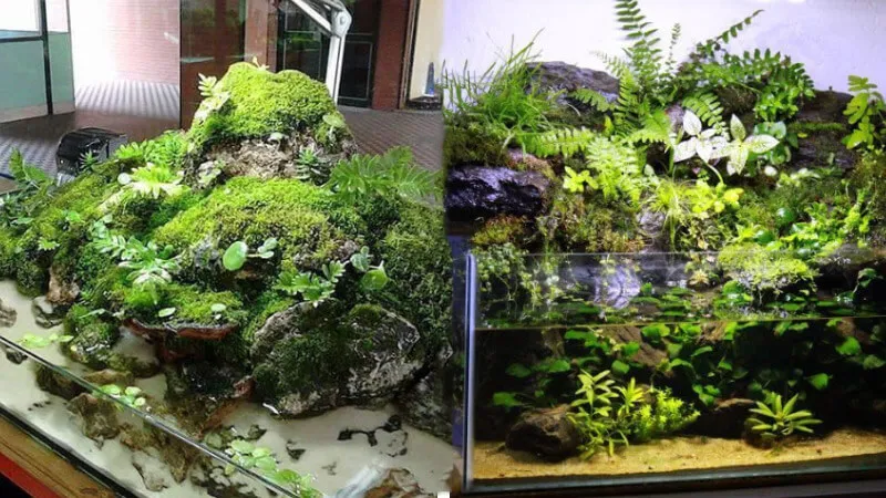 Rivarium mô phỏng một đoạn sông suối với mực nước thấp
