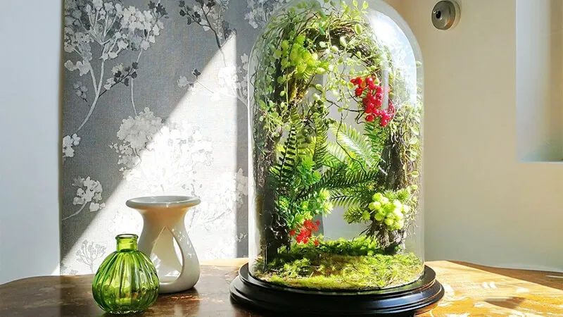 Forestterrarium mô phỏng các khu rừng