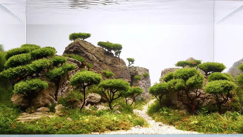 Savannaterrarium mô phỏng hệ sinh thái trảng cỏ