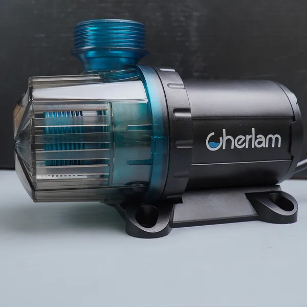 Lựa chọn dòng bơm bể cá phù hợp