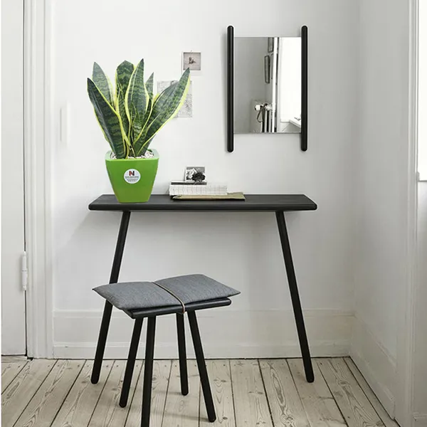 Các loại cây lưỡi hổ phổ biến