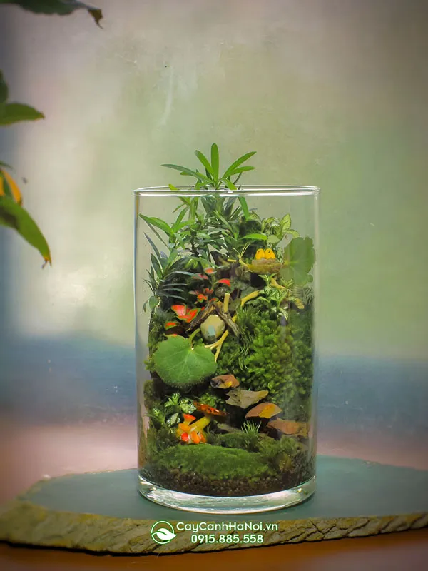 Mẫu chậu thủy tinh trụ tròn hiện đại