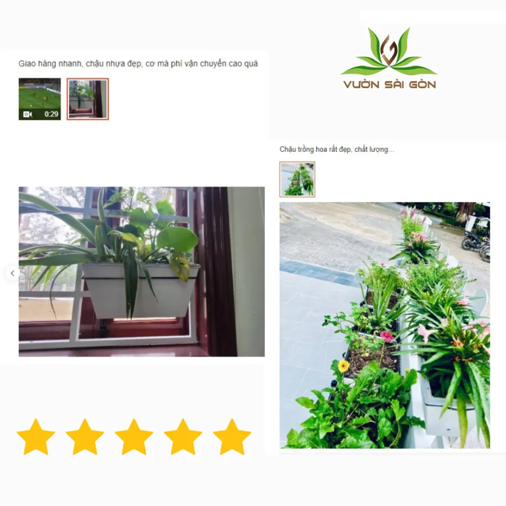 Chậu tự dưỡng treo trên lan can ban công mang lại không gian xanh