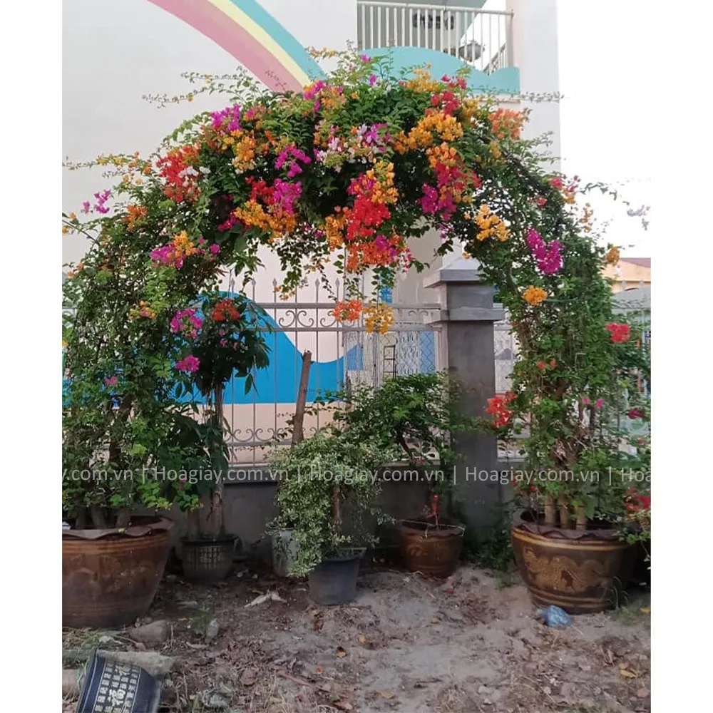 Cổng hoa giấy với thiết kế độc đáo hình trái tim