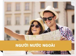 Biểu tượng thị thực điện tử Việt Nam