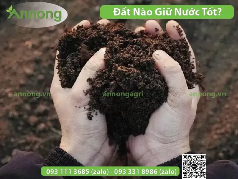 dat-giu-nuoc-tot-nhat