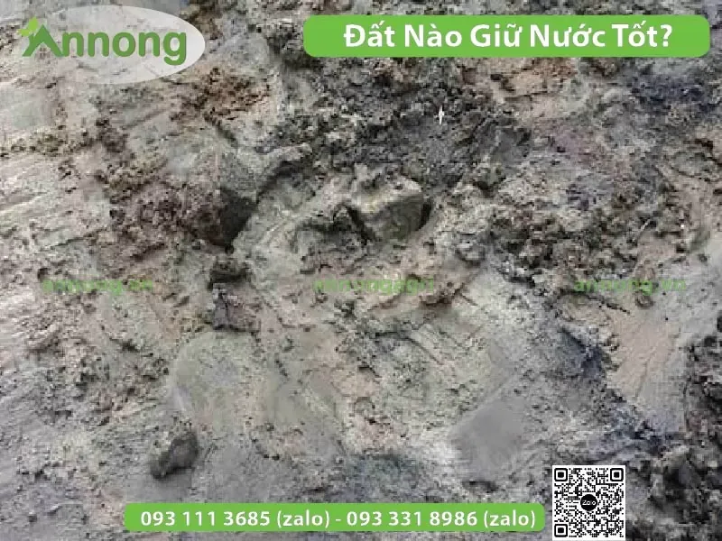 Đất sét giữ nước và chất dinh dưỡng tốt nhất