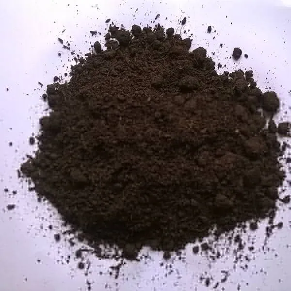 Đất sạch chuyên dụng cho việc trồng Terrarium