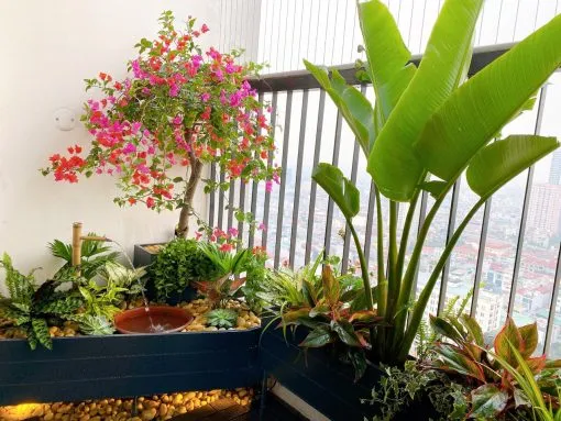 Một mẫu tiểu cảnh ban công với hồ cá mini và đèn trang trí