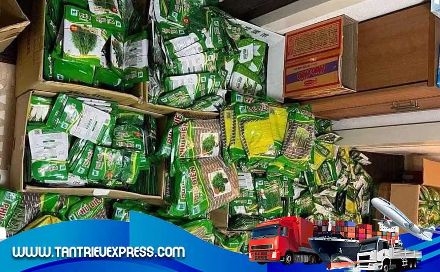 Hạt giống rau và hoa được ưa chuộng gửi đi Mỹ