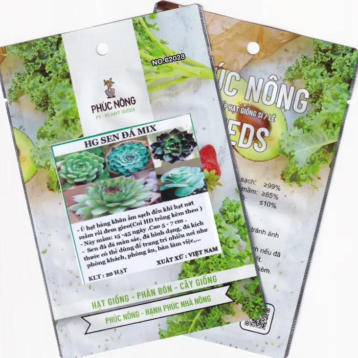 Trồng cây cảnh mini từ hạt giống là sở thích của nhiều người làm việc văn phòng