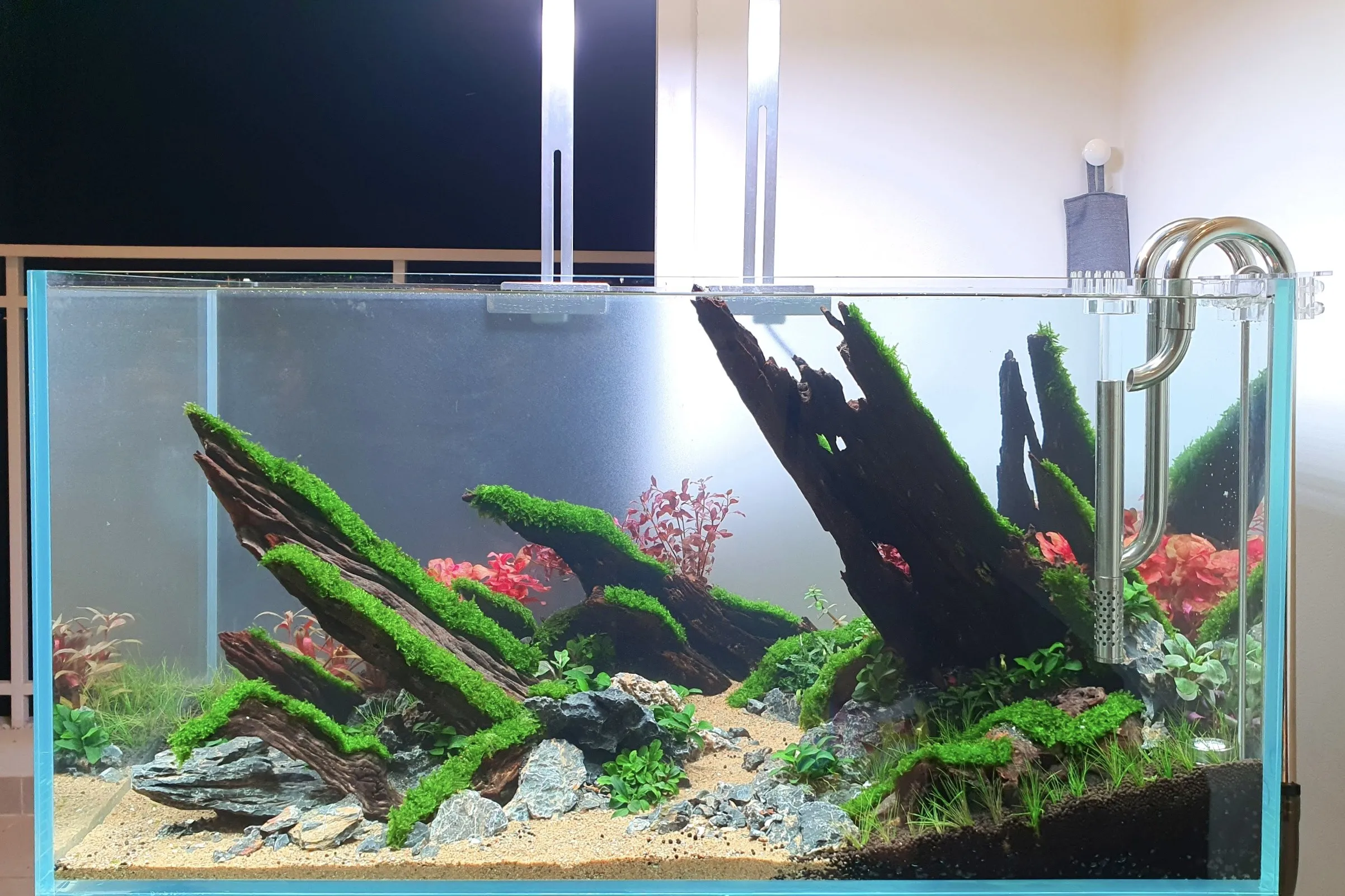 Bố cục thủy sinh Natural với thảm cây xanh mướt mô phỏng cao nguyên