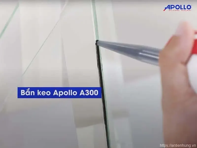 Apollo Silicone A300 là sản phẩm phù hợp để thi công dán hồ kính terrarium