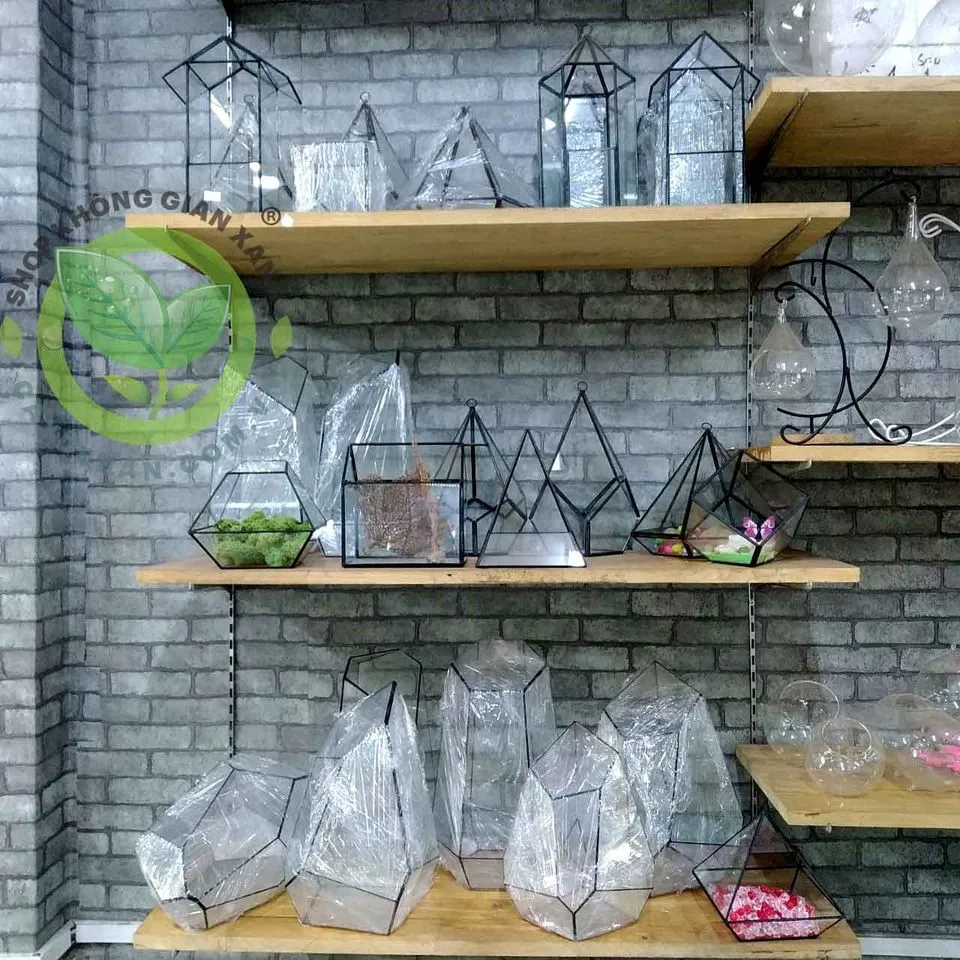 Lọ thủy tinh nhiều hình dạng dùng để trồng Terrarium