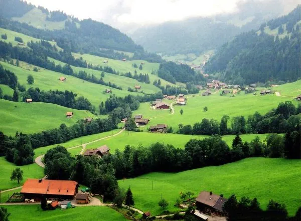 Hệ thống rễ cây xanh chống xói mòn đất