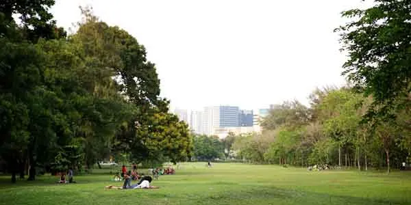 Cây xanh giúp duy trì độ ẩm và tiết kiệm nước