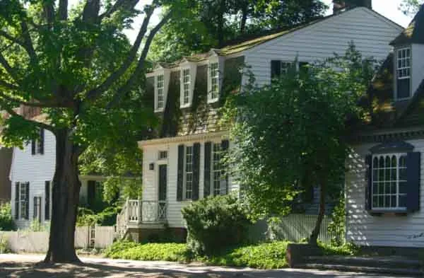 Cây xanh là nguồn thực phẩm cho con người và động vật