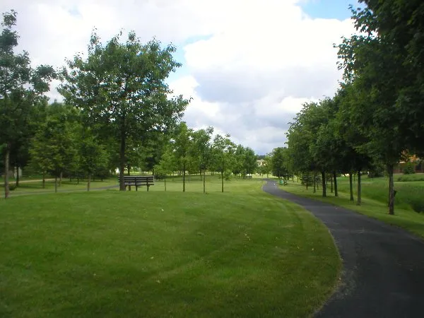 Cây xanh giúp lọc và chống ô nhiễm nguồn nước