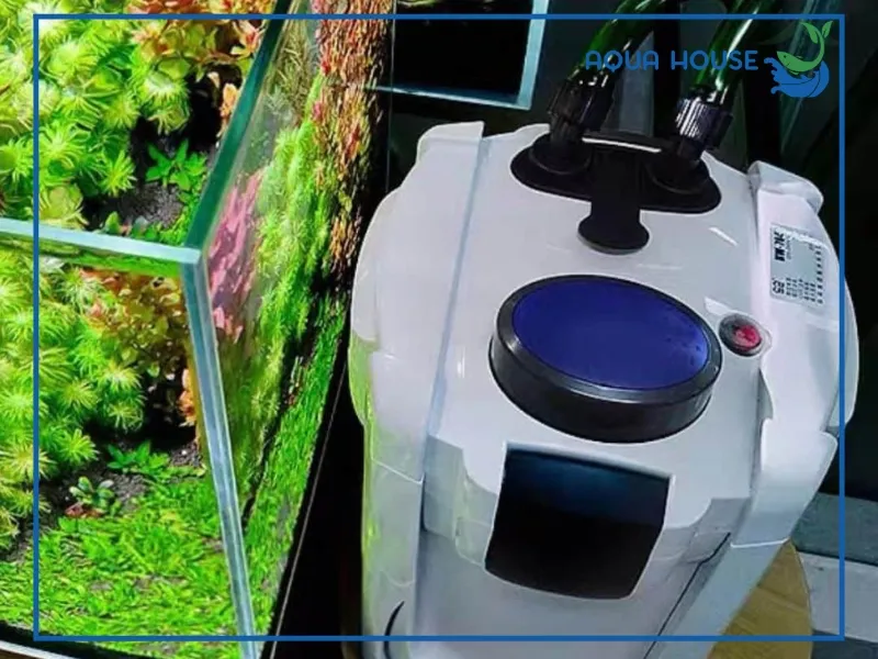 Lọc thùng ngoài (Canister) là giải pháp lọc hiệu suất cao