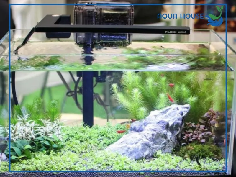 Hướng dẫn lắp đặt máy lọc nước hồ cá đúng kỹ thuật