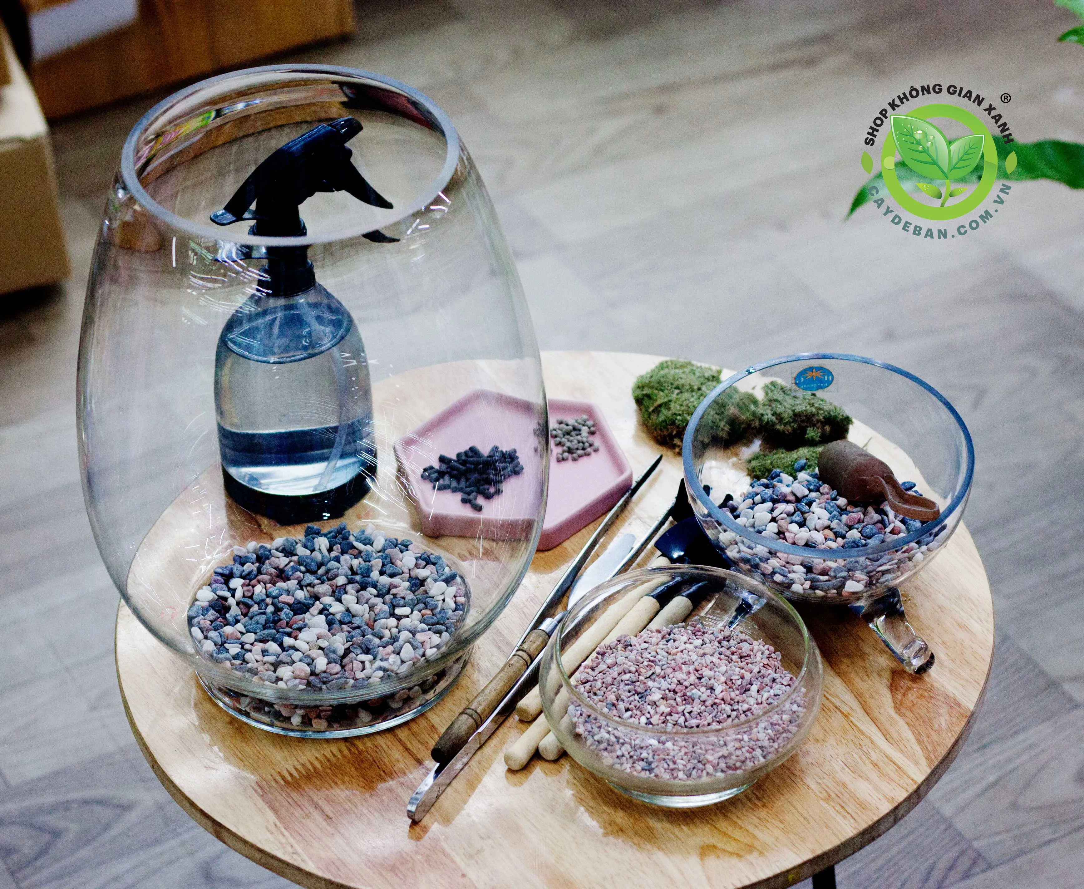 Hình ảnh minh họa quá trình hoàn thiện một mẫu Terrarium