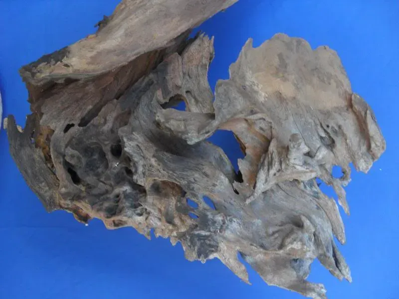 Tác phẩm gỗ lũa đã được làm sạch, lộ rõ các đường vân và hốc tự nhiên do mối tạo ra