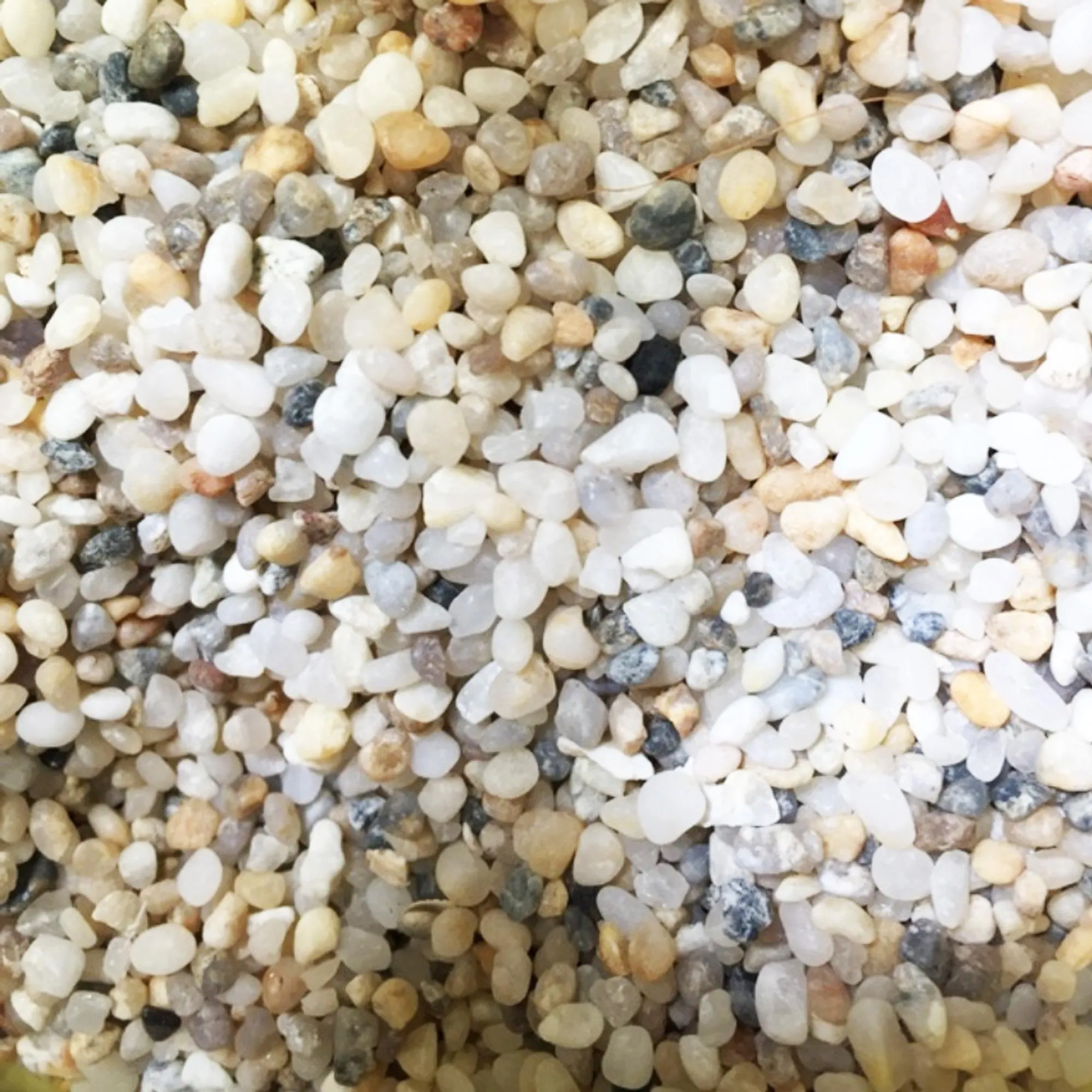 Các loại sỏi tự nhiên dùng làm lớp thoát nước cho Terrarium