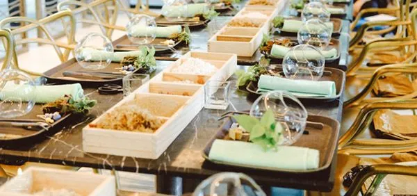 Terrarium workshop tự tay thiết kế khu vườn thu nhỏ của riêng bạn