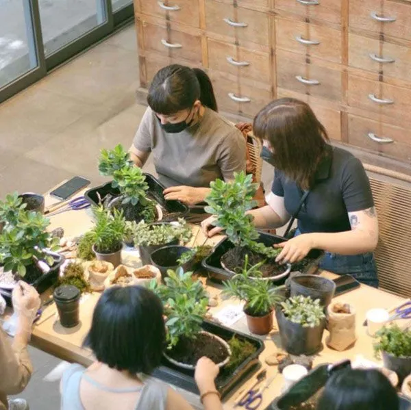 The Yên Concept là nơi dành cho sự sáng tạo và tinh tế của thế giới terrarium