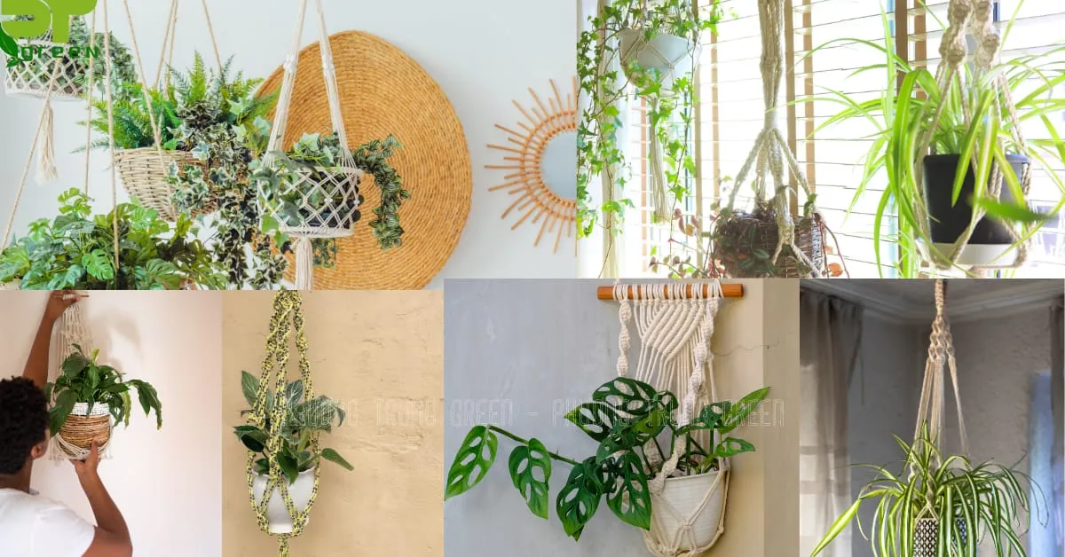 Chậu cây treo bằng dây đan Macrame handmade