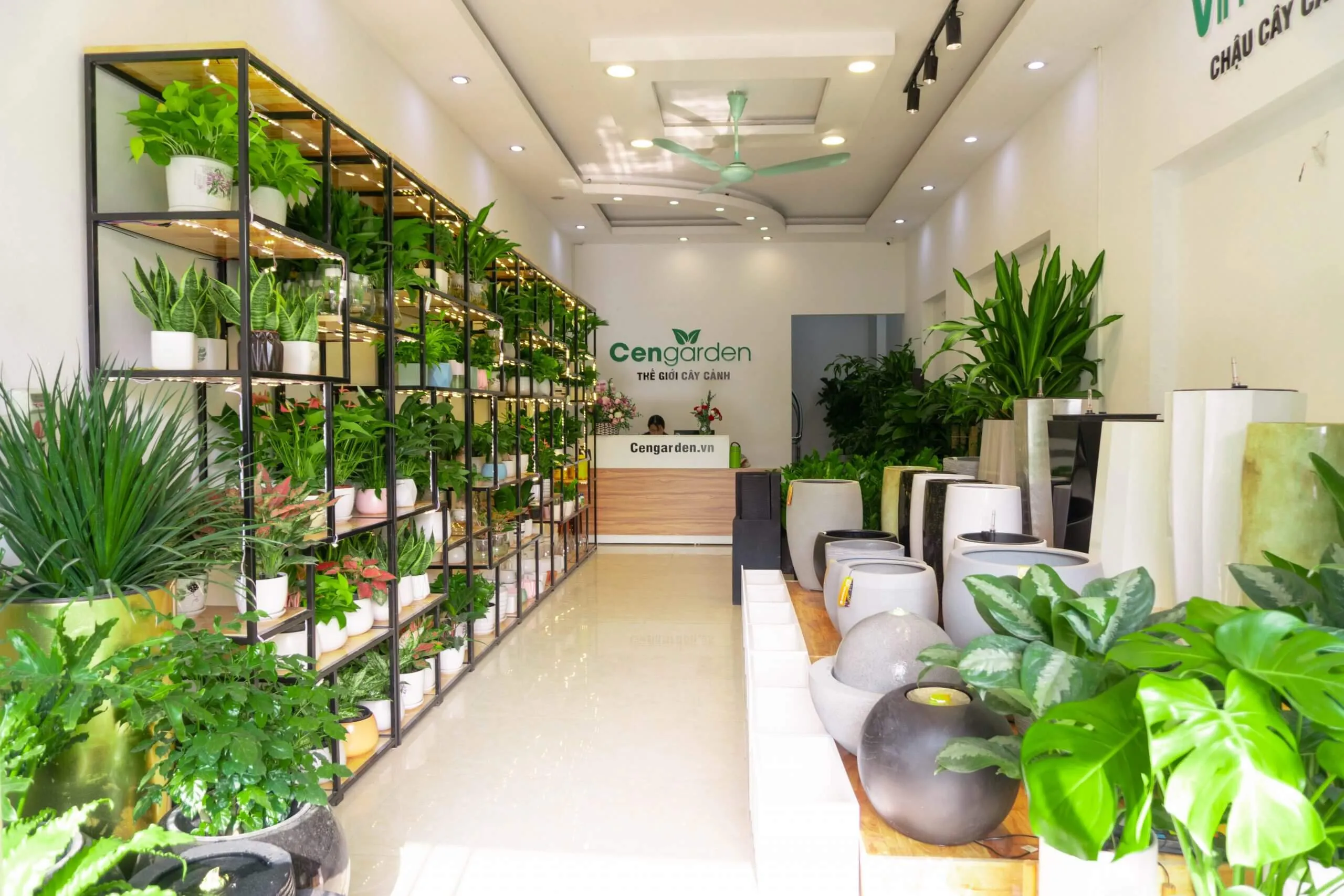 Lợi ích của việc thiết kế cửa hàng cây cảnh chuyên nghiệp trong kinh doanh