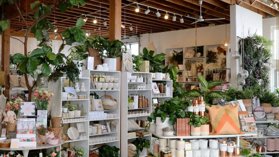 Mẫu thiết kế cửa hàng cây cảnh phong cách tối giản