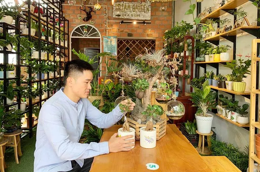 06 lưu ý quan trọng cần biết khi thiết kế cửa hàng cây cảnh