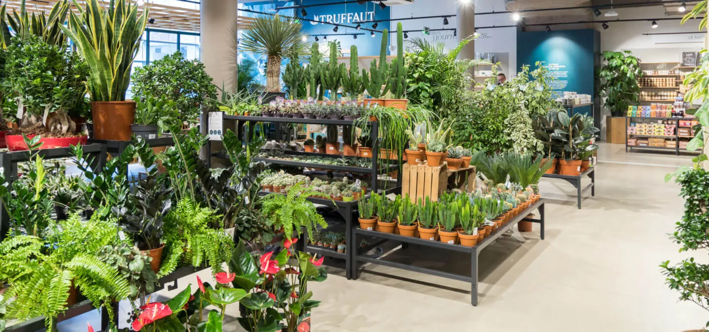 Mẫu thiết kế cửa hàng cây cảnh phong cách nhà kính hiện đại