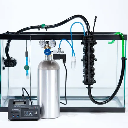 Hệ thống CO2 trong bể thủy sinh