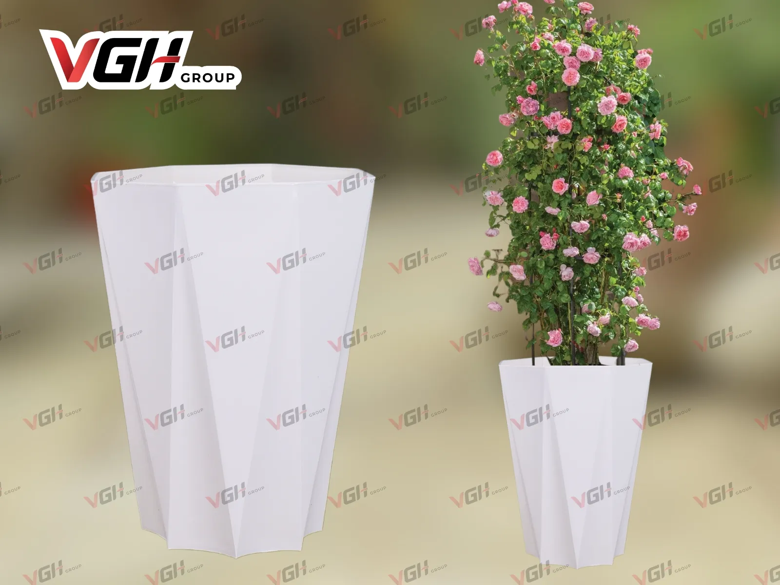 Chậu kim cương bát giác giả sứ với kiểu dáng được ưa chuộng rộng rãi