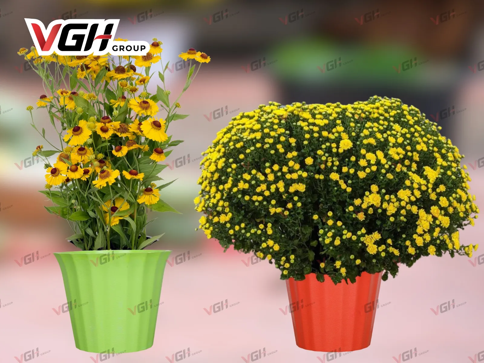 Chậu nhựa tròn trồng cây cỡ nhỏ và trung trang trí để bàn, kệ gỗ