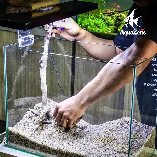 Đất nền bể cá thủy sinh được rải trong hồ