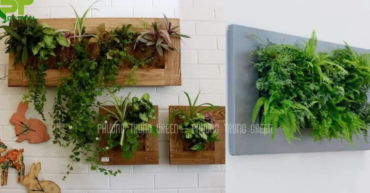 Tranh cây cảnh treo tường sử dụng sen đá và cây kiểng lá