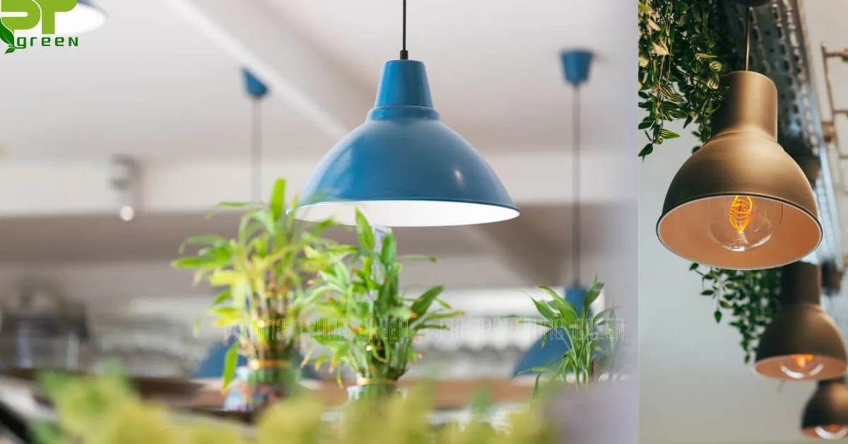 Kết hợp treo bóng đèn trang trí cho các chậu cây treo tường