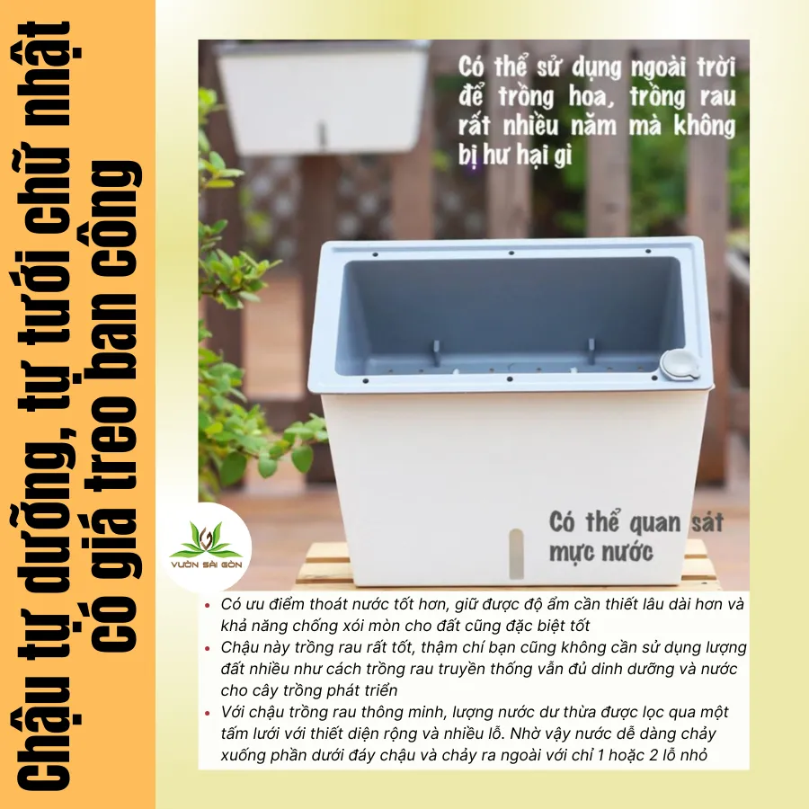 Lợi ích của chậu tự dưỡng giúp cây trồng phát triển xanh tốt