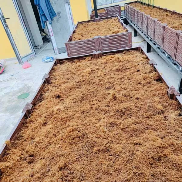 Xơ dừa và mùn dừa dùng làm giá thể trồng cây, trồng rau