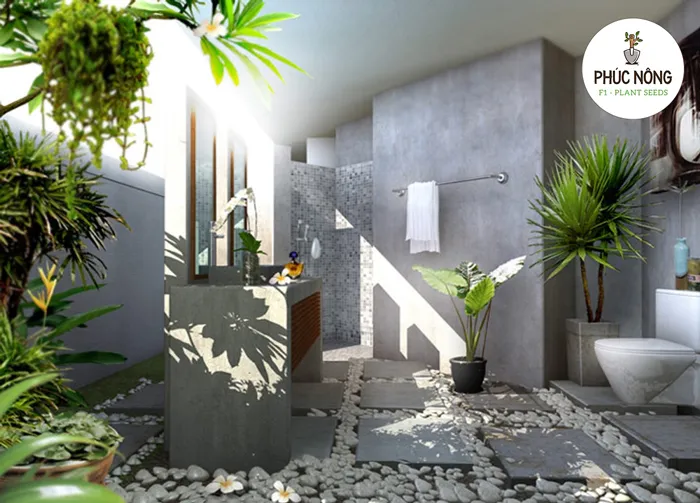 Ý nghĩa và lợi ích của việc trồng cây cảnh tại không gian sống