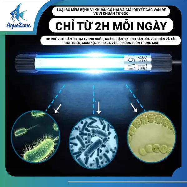 Đèn UV diệt tảo và vi khuẩn nhanh chóng
