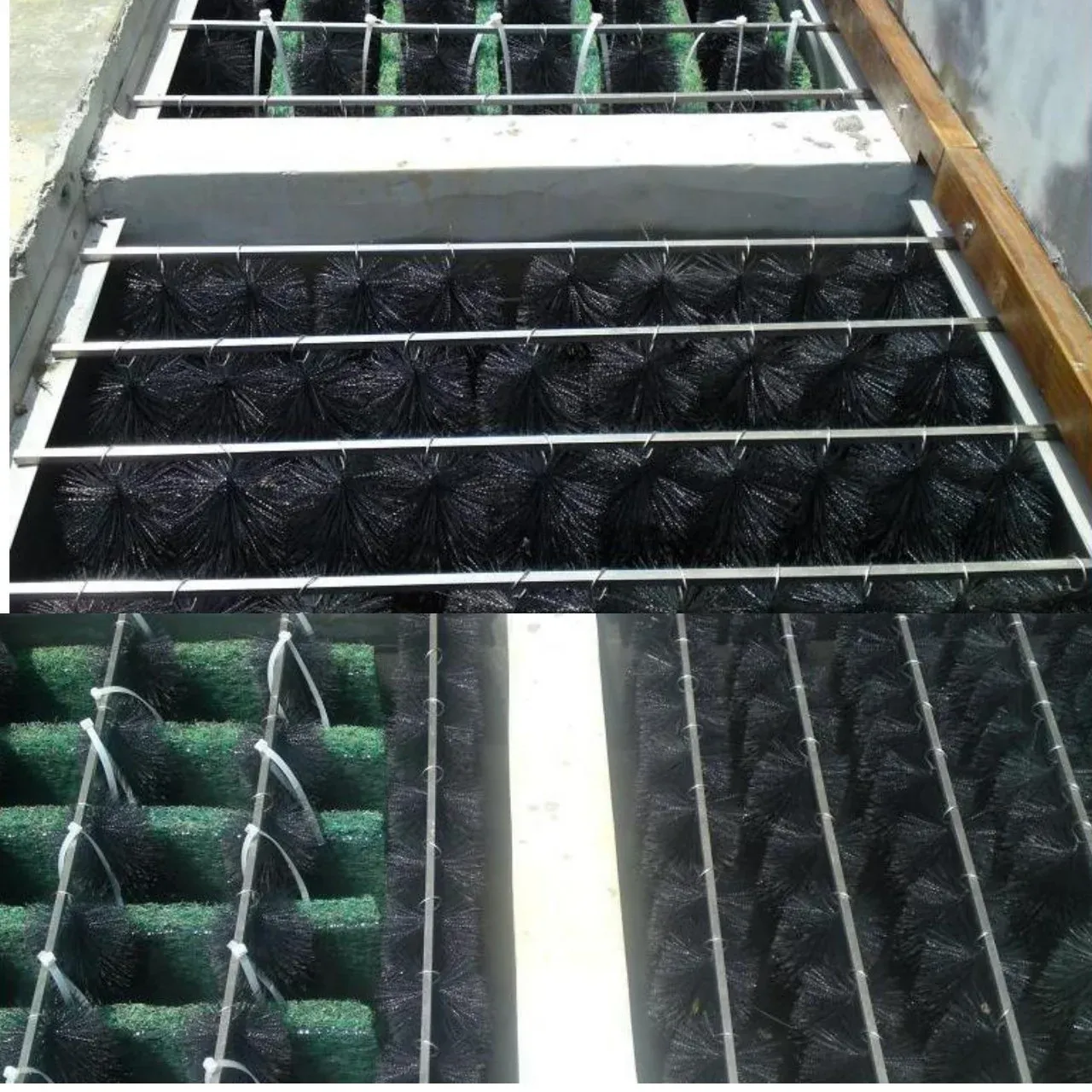 Cận cảnh cách bố trí chổi lọc khít sát nhau trong ngăn lọc