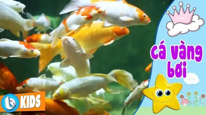 Hình ảnh cá vàng bơi trong bể kính có nhiều thực vật thủy sinh