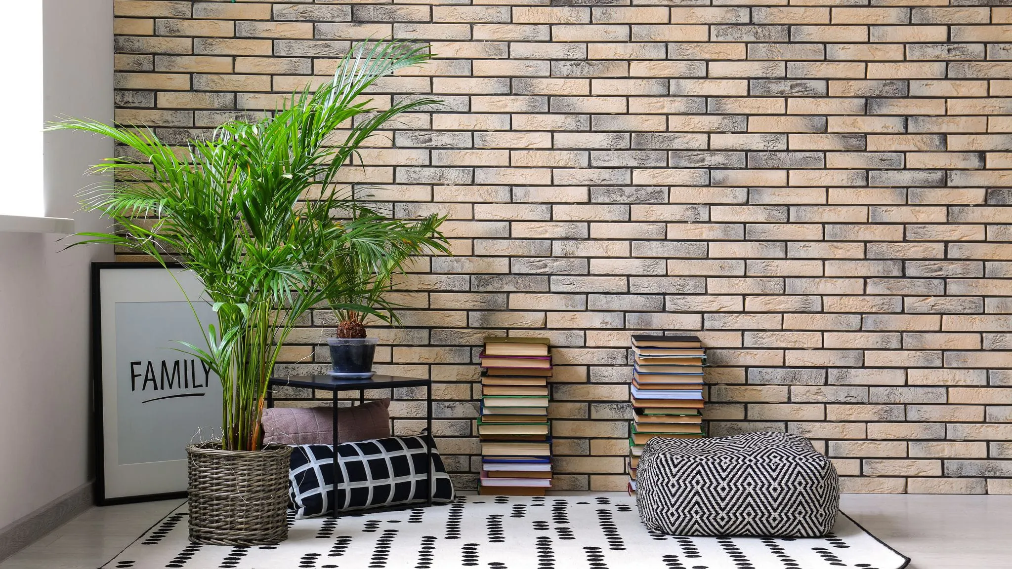 Dừa cảnh có nhiều ứng dụng trong đời sống