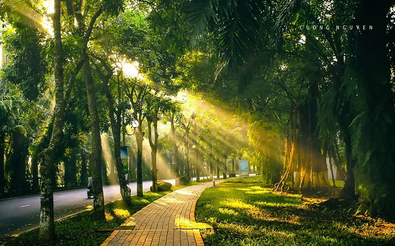 cay-xanh-bao-phu-ecopar-hung-yen