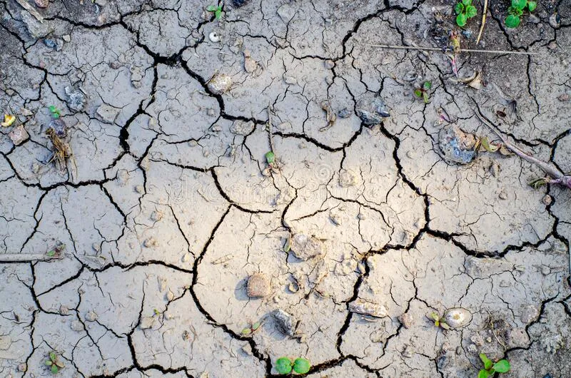 Đất nén dẽ, chai cứng