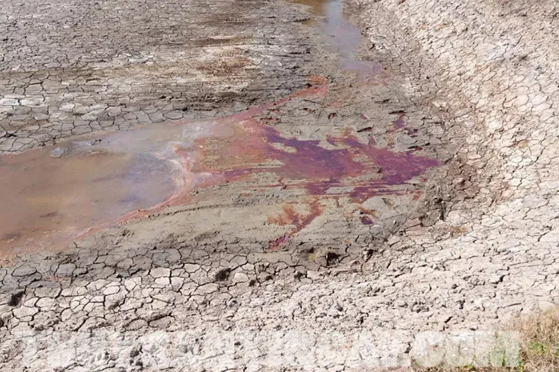 Đất phèn là loại đất xấu, có độ pH rất thấp